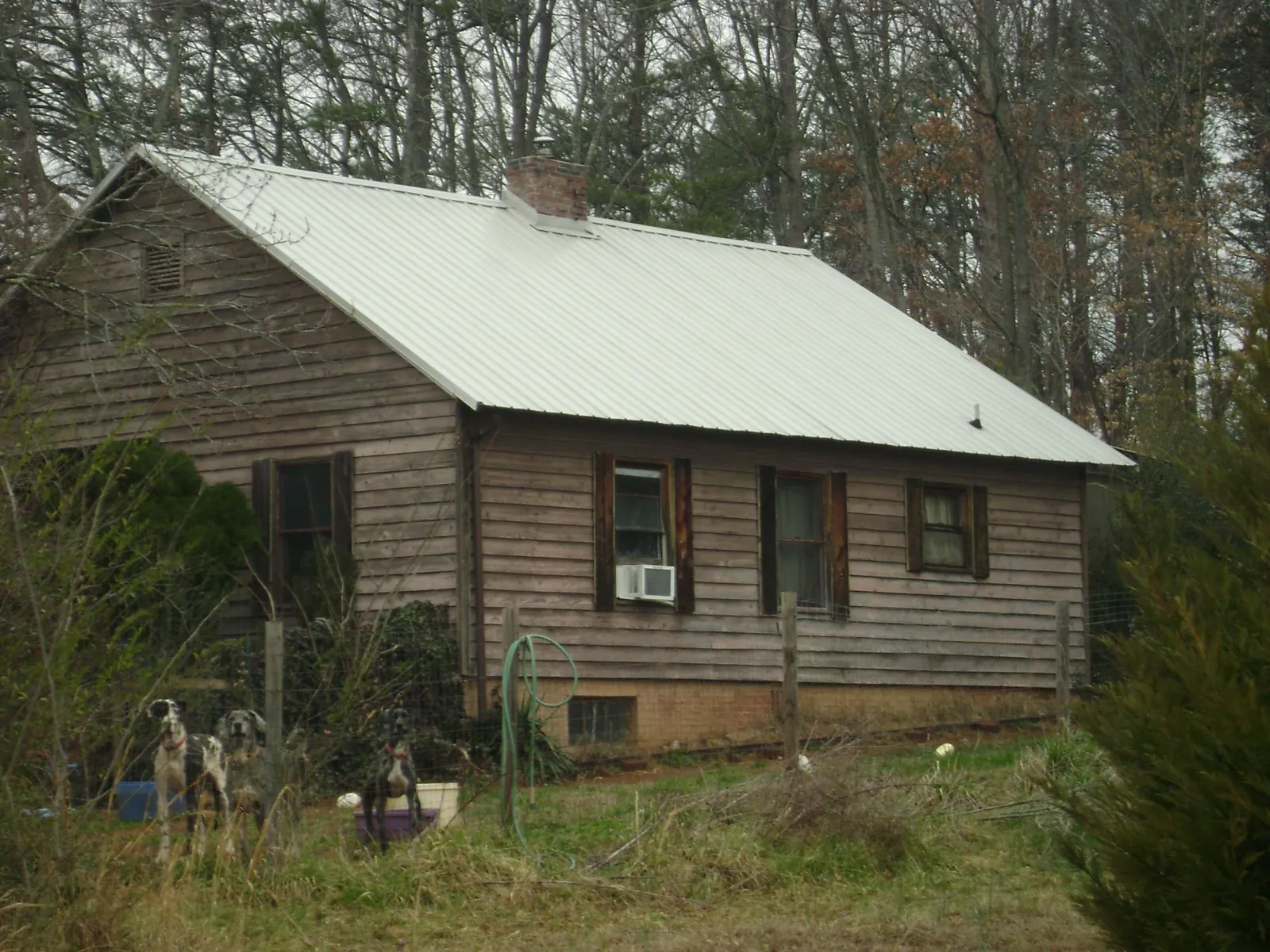 White metal roof on an old wood sided farmhouse, from a Asphalt Shingle Roof Repair job in Clatskanie